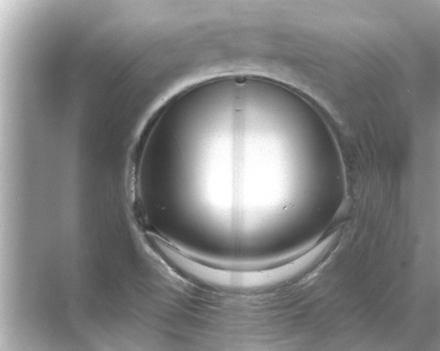 X0000070881510200606302124