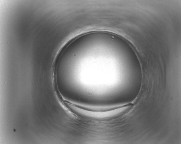 X0000070881511200606302124