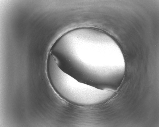 X0000070881512200606302124