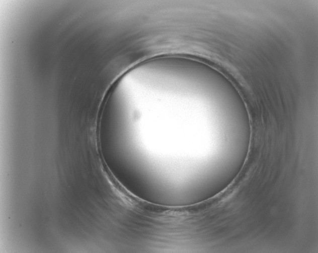 X0000070881513200606302124