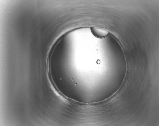 X0000070881515200606302124