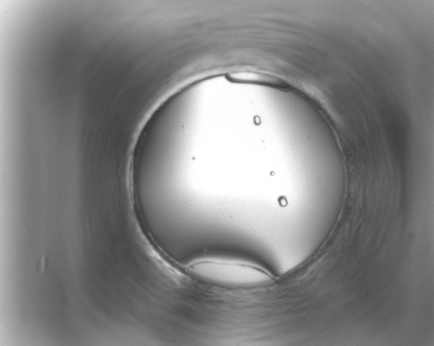 X0000070881516200606302124