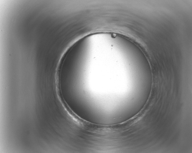 X0000070881517200606302124