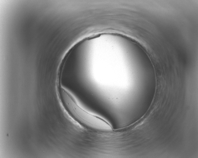 X0000070881518200606302124