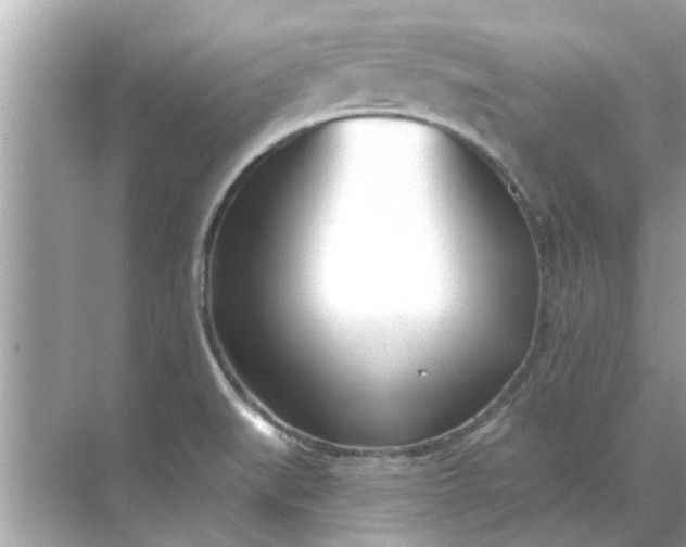 X0000070881519200606302124