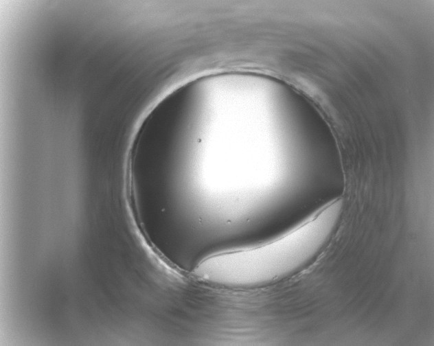 X0000070881520200606302124