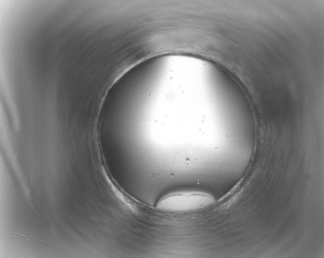 X0000070881521200606302124