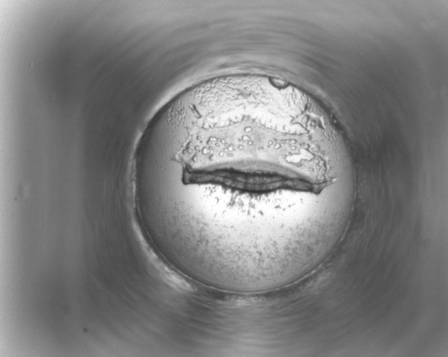 X0000070881522200606302124