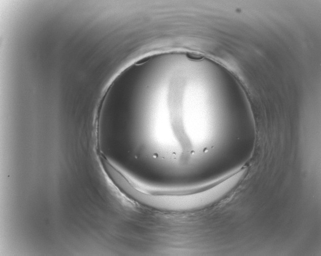 X0000070881524200606302124