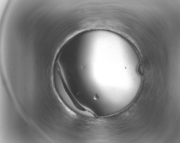 X0000070881525200606302124