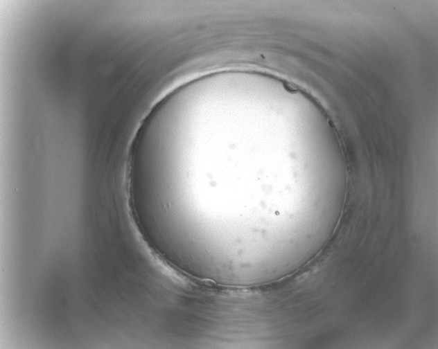 X0000070881526200606302124