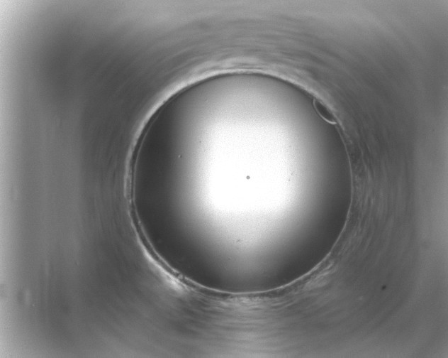 X0000070881527200606302124