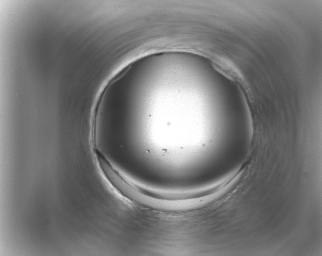 X0000070881528200606302124