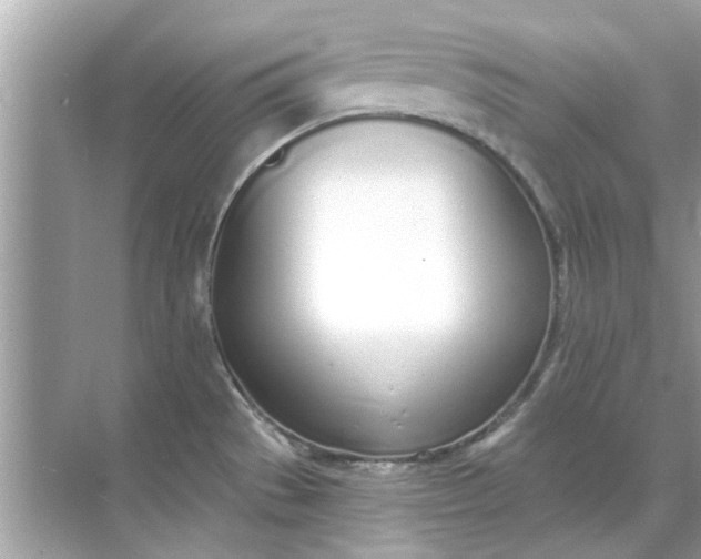 X0000070881529200606302124