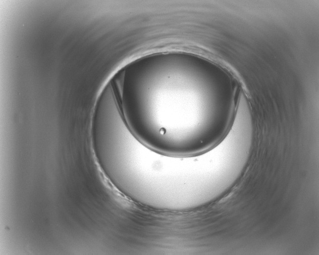 X0000070881530200606302124