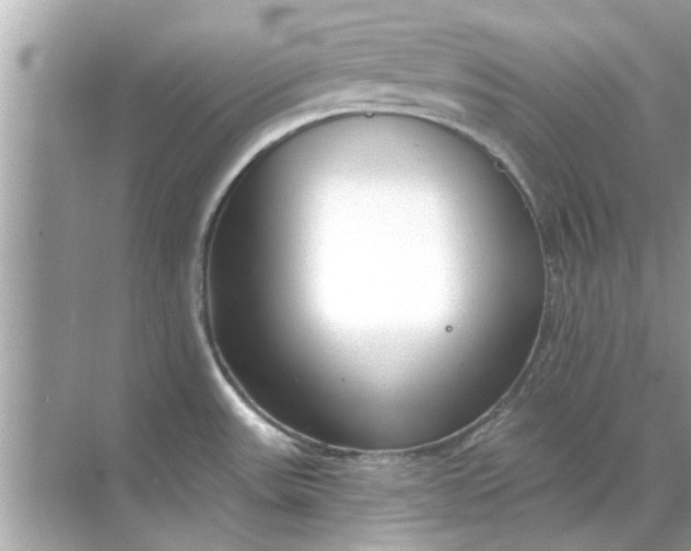 X0000070881531200606302124