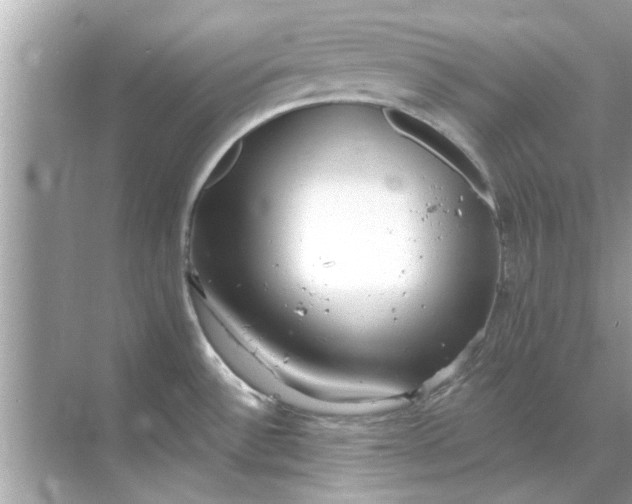 X0000070881532200606302124