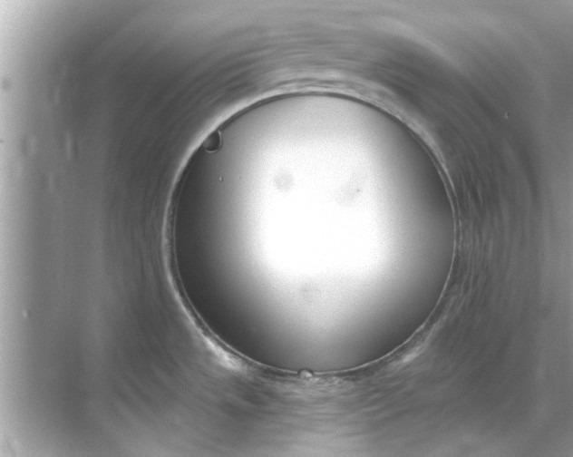 X0000070881533200606302124