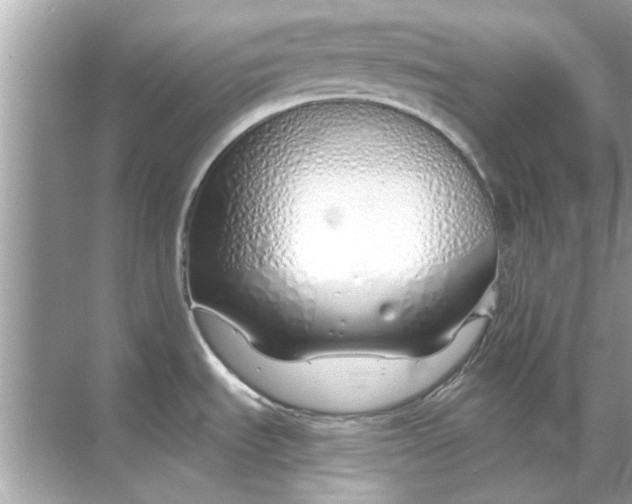 X0000070881535200606302124