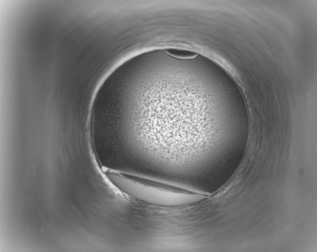 X0000070881536200606302124