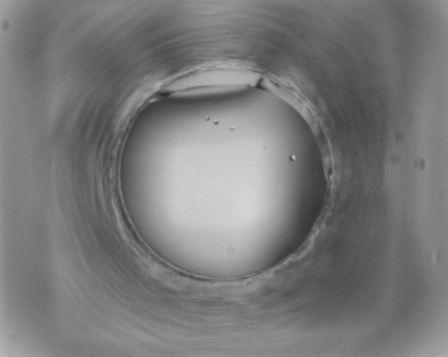 X0000070880001200607071959