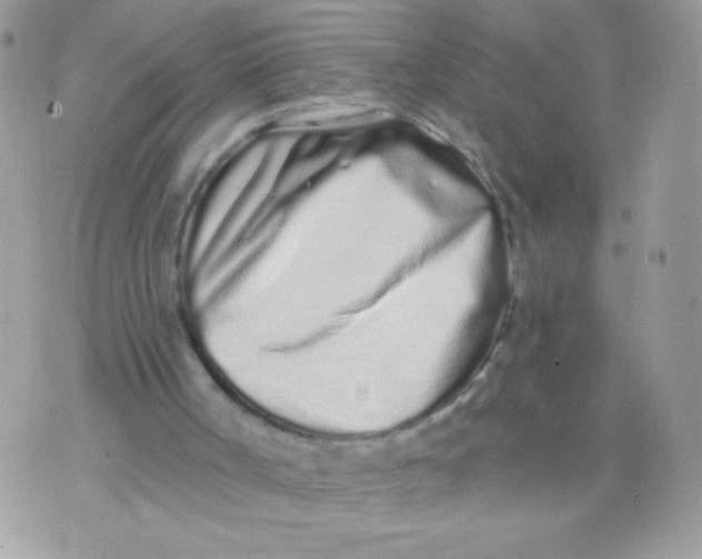 X0000070880002200607071959