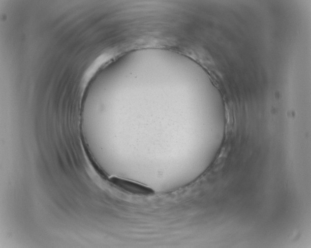 X0000070880003200607071959