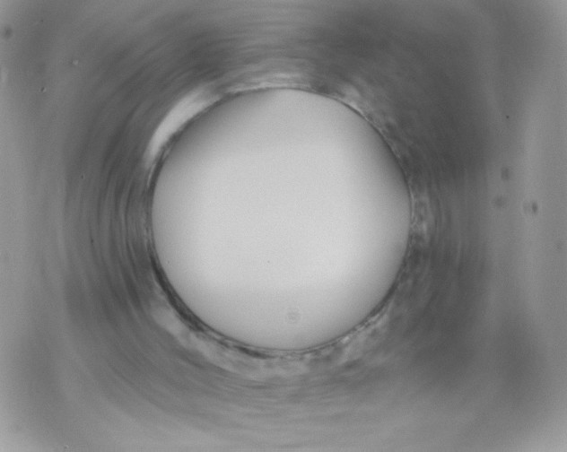 X0000070880004200607071959