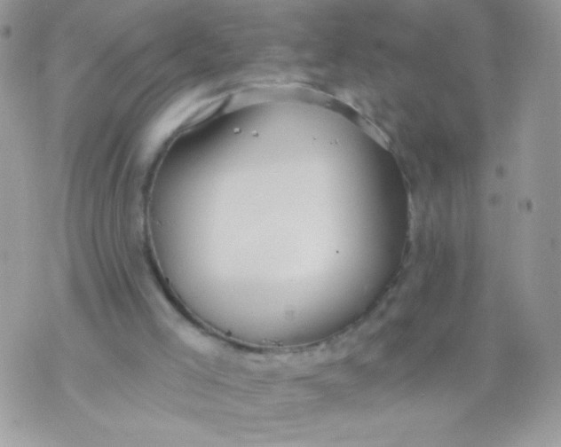 X0000070880005200607071959