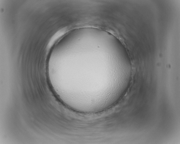 X0000070880006200607071959