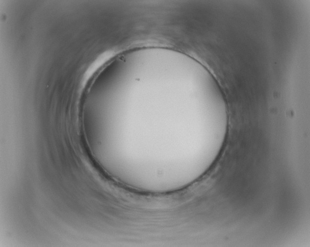 X0000070880008200607071959