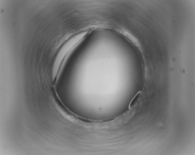 X0000070880009200607071959