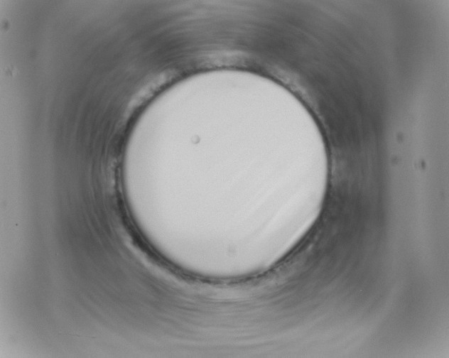 X0000070880010200607071959