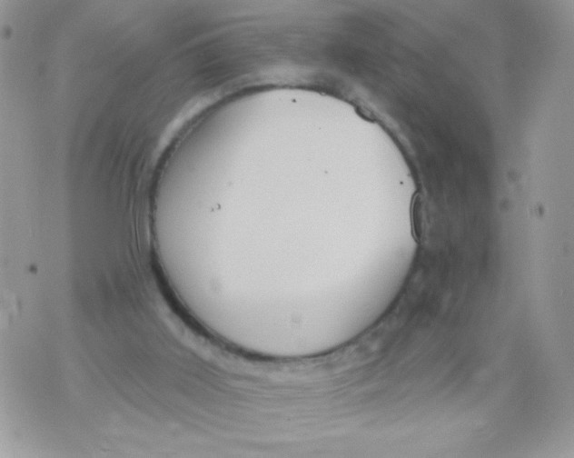 X0000070880011200607071959