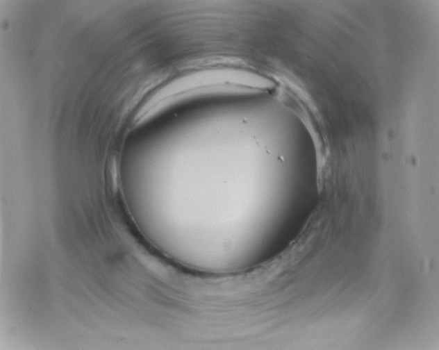 X0000070880013200607071959