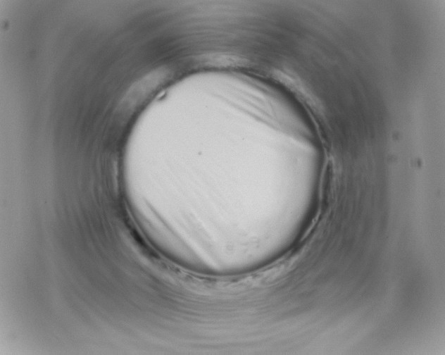 X0000070880014200607071959