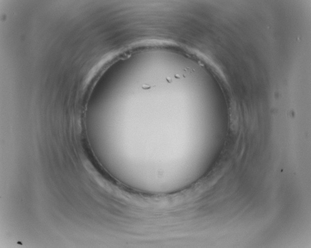 X0000070880015200607071959