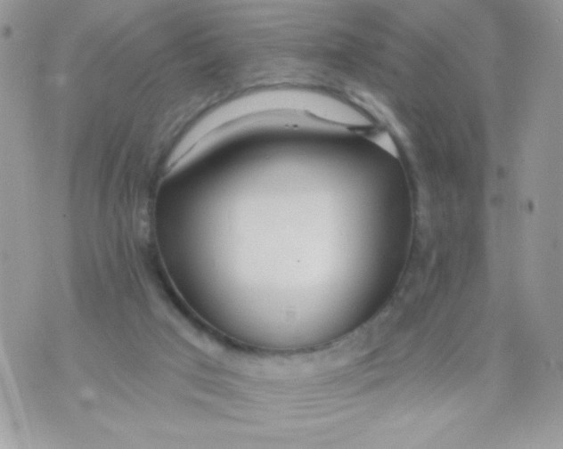 X0000070880017200607071959