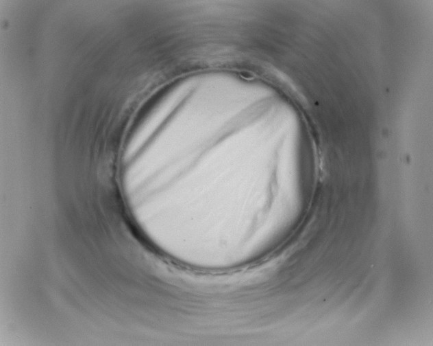 X0000070880018200607071959