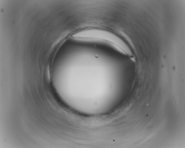 X0000070880020200607071959