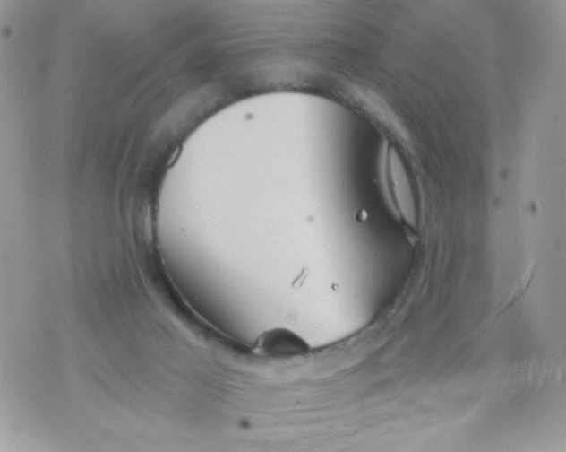 X0000070880021200607071959