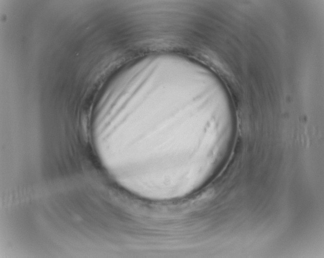 X0000070880022200607071959