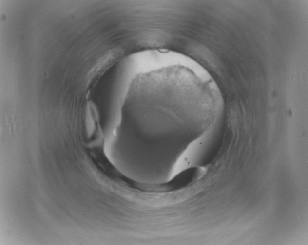 X0000070880023200607071959