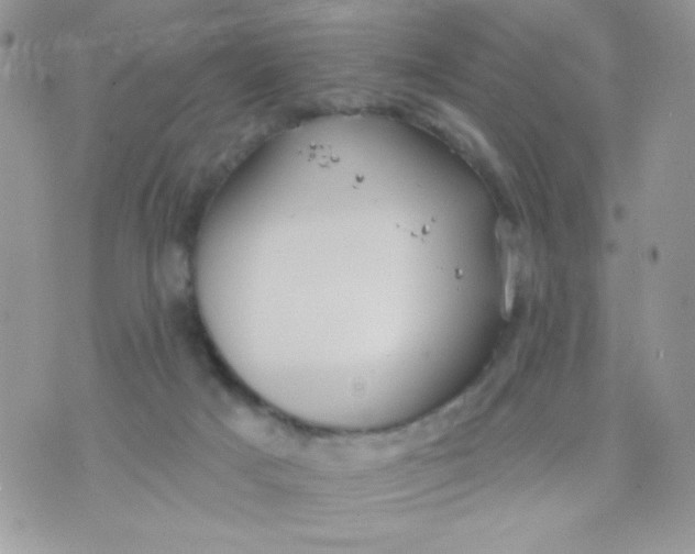 X0000070880025200607071959