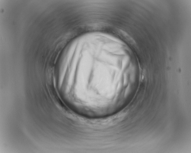 X0000070880026200607071959