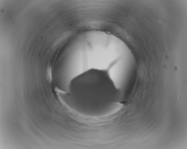 X0000070880027200607071959