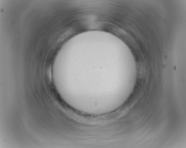 X0000070880028200607071959