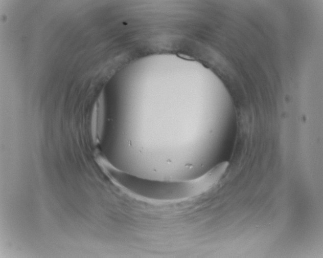 X0000070880029200607071959