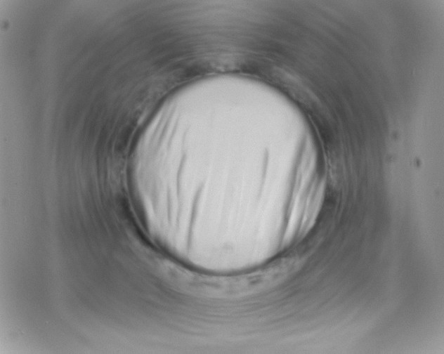 X0000070880030200607071959