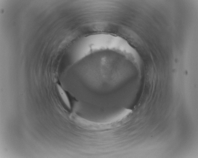 X0000070880031200607071959